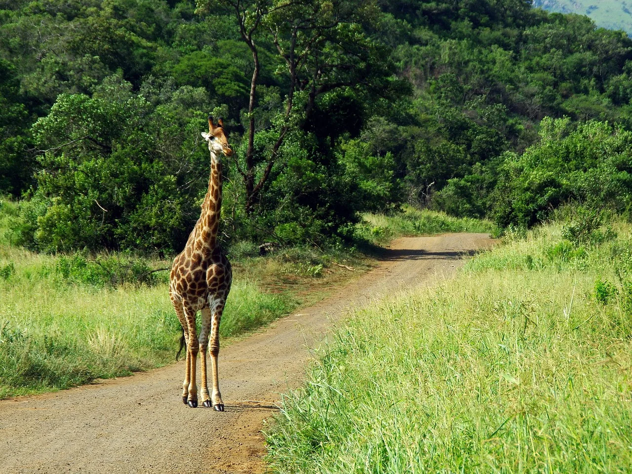 Sudafrica e Seychelles - Sudafrica e Seychelles