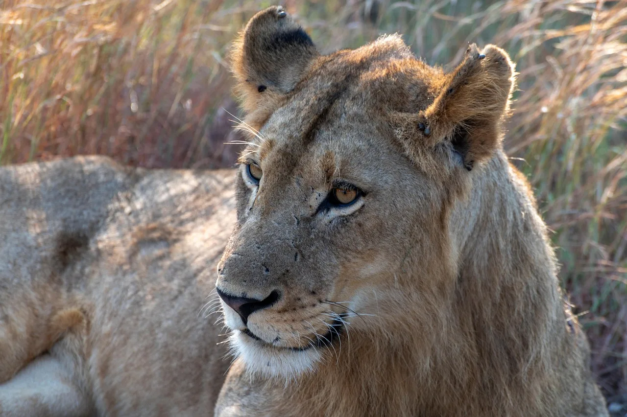 Sudafrica e Seychelles - Sudafrica e Seychelles