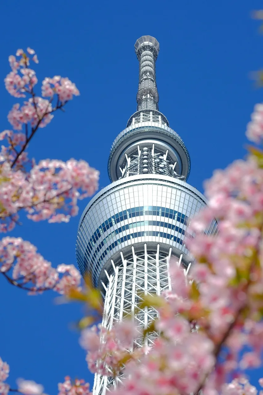 Tokyo